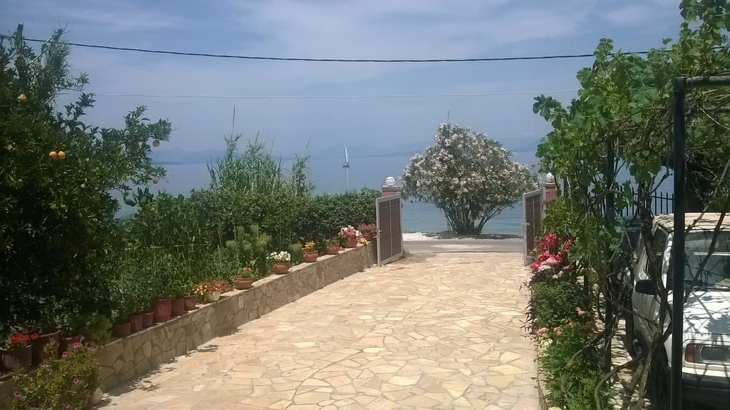 Ampelaki Studios Μπούκαρι Εξωτερικό φωτογραφία