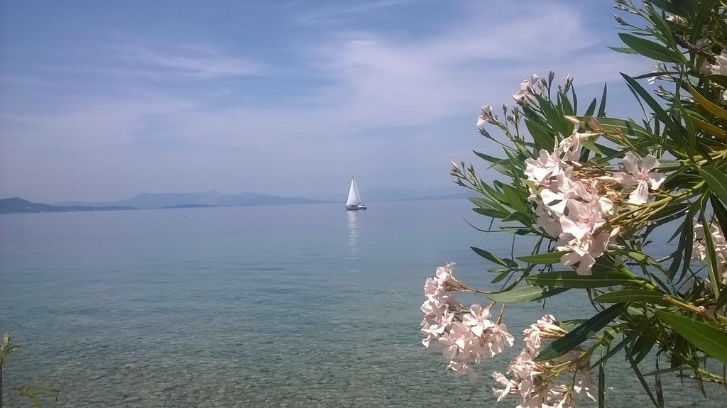 Ampelaki Studios Μπούκαρι Εξωτερικό φωτογραφία